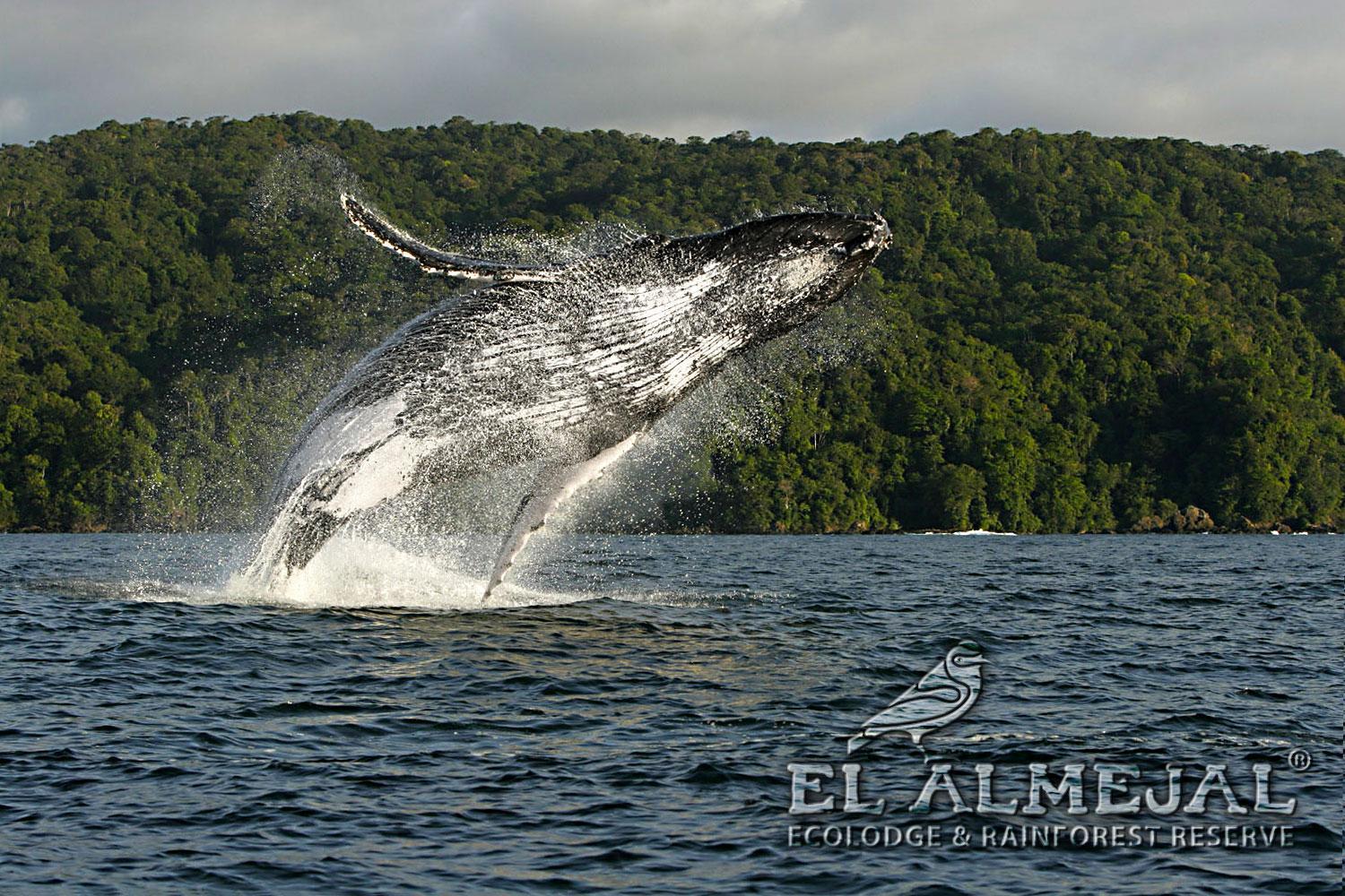 Вилла El Almejal Эль-Валье Экстерьер фото